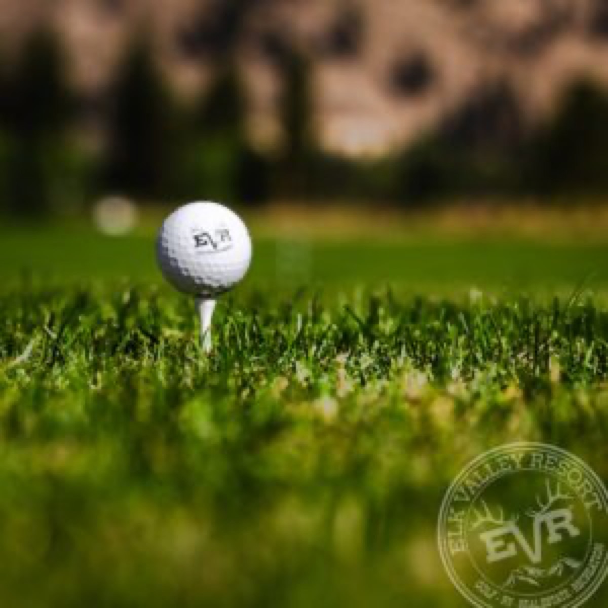Elk Valley Golf Course: A Local Mountain Home Gem Worth Checking Out