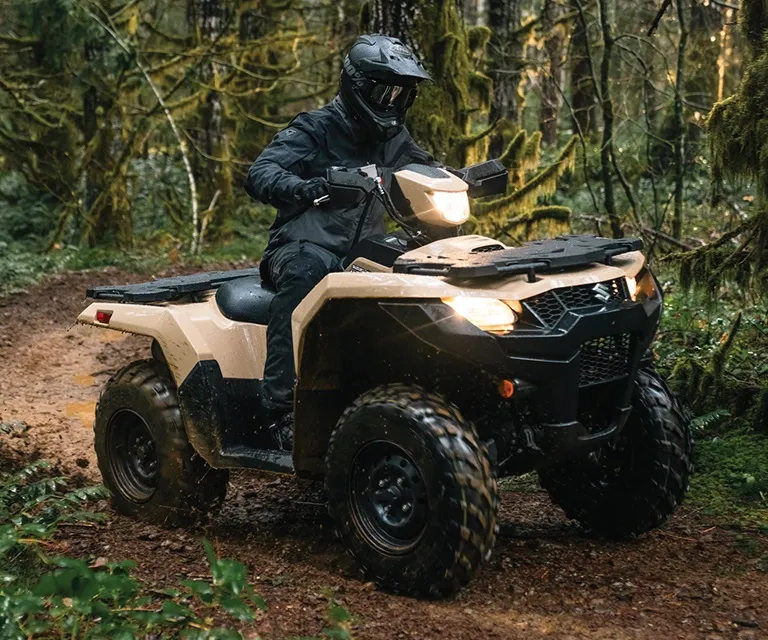 What Size ATV Do You Really Need for Idaho Riding?