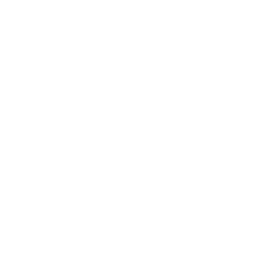 can-am-logo